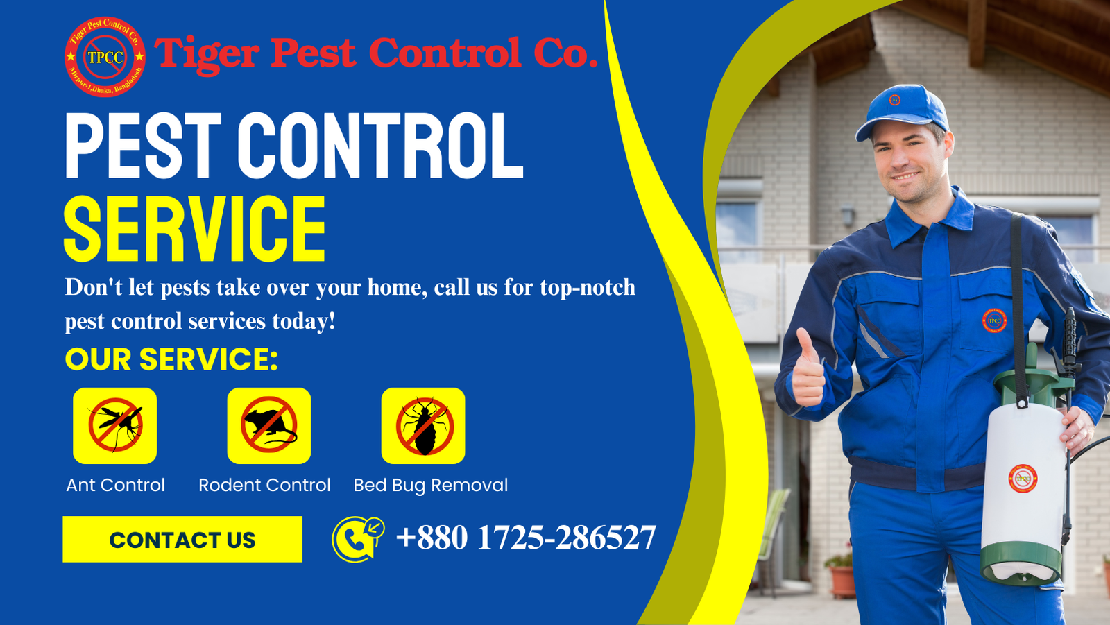 Termite Blog